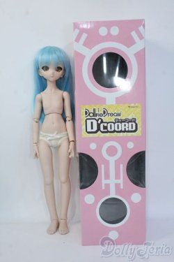 画像6: MDD/Ｄ'COORD Y-25-07-02-212-KD-ZY