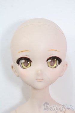 画像7: MDD/Ｄ'COORD Y-25-07-02-212-KD-ZY