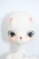画像2: coralreefdoll×WHALE ISLAND/Miemie Y-25-07-09-002-YD-ZY (2)