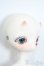 画像3: coralreefdoll×WHALE ISLAND/Miemie Y-25-07-09-002-YD-ZY