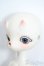 画像4: coralreefdoll×WHALE ISLAND/Miemie Y-25-07-09-002-YD-ZY