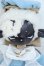 画像1: coralreefdoll×WHALE ISLAND/Miemie Y-25-07-09-003-YD-ZY (1)