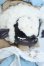 画像2: coralreefdoll×WHALE ISLAND/Miemie Y-25-07-09-003-YD-ZY (2)