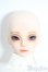 画像7: Charm Doll/coppelia Y-25-07-09-066-YD-ZY
