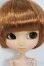 画像1: プーリップ/ピーターパン Y-25-07-09-096-YD-ZY (1)