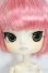 画像1: ダル/エレンフリート Y-25-07-09-103-YD-ZY (1)