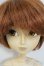 画像1: テヤン/ティムラス Y-25-07-09-110-YD-ZY (1)