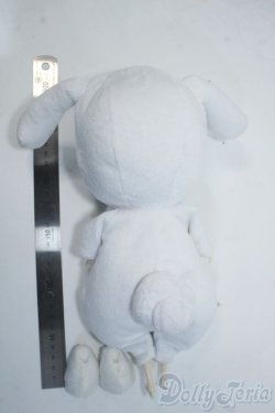 画像3: ダル/シナモロール Y-25-07-09-100-YD-ZY