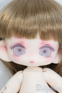 画像1: 大きな子犬わたあめ/白肌 Y-25-07-16-017-TN-ZY