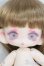 画像1: 大きな子犬わたあめ/白肌 Y-25-07-16-017-TN-ZY (1)