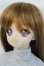 画像3: DDS/マユ Y-25-07-16-003-YD-ZY