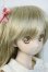 画像2: DDS/マユ Y-25-07-16-004-YD-ZY (2)