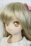 画像3: DDS/マユ Y-25-07-16-004-YD-ZY