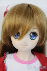 DDSボディ＆DDH-04ヘッド Y-25-07-16-005-YD-ZY