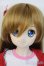 画像1: DDSボディ＆DDH-04ヘッド Y-25-07-16-005-YD-ZY (1)