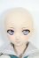 画像7: DDベースボディ/DDＨ-09ヘッド Y-25-07-16-006-YD-ZY
