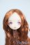 画像1: オビツ11サイズ/カスタムヘッド Y-25-07-16-174-YD-ZY (1)