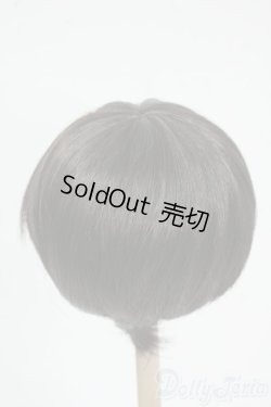 画像2: 8-9inch/ウィッグ Y-25-12-17-172-YD-ZY