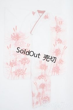 画像3: MSD&SDM/OF：着物 Y-25-07-16-192-YD-ZY