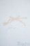 画像1: SD/OF:小物 Y-25-07-23-127-YD-ZY (1)