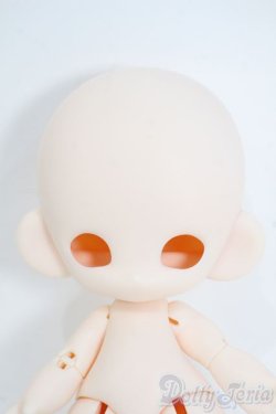 画像1: 子猫わたあめ/白肌 Y-25-07-23-122-YD-ZY