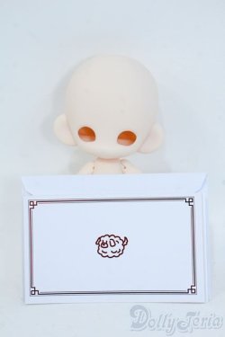 画像4: 子猫わたあめ/白肌 Y-25-07-23-122-YD-ZY