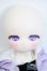画像6: TinyFox/夢喰獏 マーフィー Y-25-07-23-121-YD-ZY