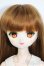 画像1: DDヘッド+オビツ40ボディ(PARABOX) Y-25-07-30-060-YD-ZY (1)