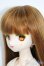 画像3: DDヘッド+オビツ40ボディ(PARABOX) Y-25-07-30-060-YD-ZY