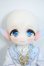 画像4: TinyFox/Lunar Fox Y-25-08-06-036-YD-ZY