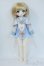 画像6: TinyFox/Lunar Fox Y-25-08-06-036-YD-ZY