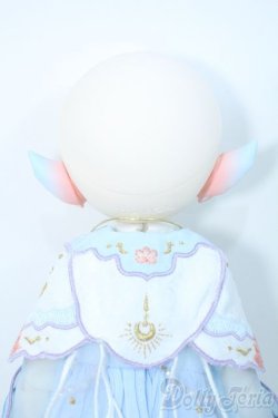 画像7: TinyFox/Lunar Fox Y-25-09-10-243-YD-ZY