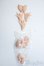 画像1: azone/ピュアニーモ　ハンドパーツセット Y-25-08-06-204-YD-ZY (1)
