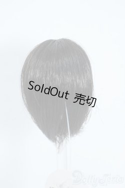 画像2: 3.5inch-4inch/ウィッグ Y-25-08-06-061-YD-ZY