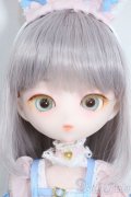 Harmonia bloom/エピヌ Y-25-08-06-282-TN-ZY