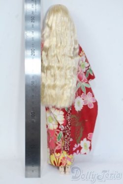 画像3: 杏/コットンシュガー Y-25-08-13-067-YD-ZY