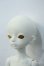 画像3: Dream Valley/Cheer Y-25-08-13-111-YD-ZY