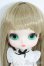 画像1: グルーヴ/クラフティングドール Y-25-08-13-115-YD-ZY (1)