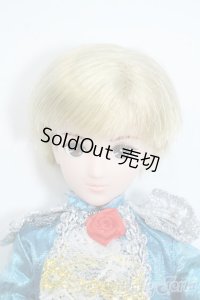 リカちゃん/あこがれの王子さまハルトくん Y-25-08-13-118-YD-ZY