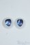 画像1: 22mm/アニメアイ Y-25-08-13-254-YD-ZY (1)