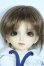 画像1: SDMBOY/フルチョイスF-36 Y-25-08-20-094-YD-ZY (1)