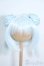 画像1: 9-10inch/ウィッグ Y-25-08-20-105-YD-ZY (1)