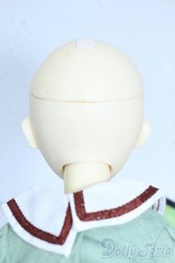 画像7: BlueFairy/TinyFairy：Jasmine Y-25-08-20-123-YD-ZY