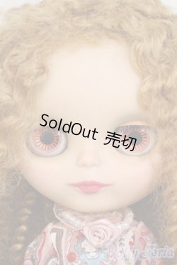 画像4: ネオブライス/アシュトンドレイク社・ブライス本体 Y-26-02-04-266-YD-ZY