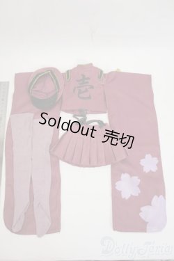 画像2: DD/OF:初音ミク千本桜ドレスセット(壱ノ桜・桜花) Y-26-01-28-247-TN-ZY