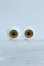 画像1: 16mm/グラスアイ Y-25-09-03-233-YD-ZY (1)