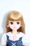 画像1: リカちゃん/本体&衣装 Y-25-09-03-262-TN-ZY (1)