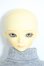 画像6: BlueFairy/TinyFairy：Louis Y-25-09-10-099-YD-ZY