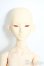 画像1: Ring Doll/Oleander Y-25-09-10-096-YD-ZY (1)