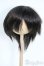 画像1: 8-9inch/ウィッグ Y-25-09-10-174-YD-ZY (1)